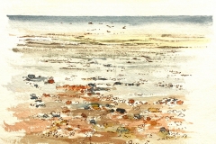 Low tide - Climping