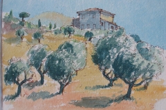Olives - Gulf of Corinth